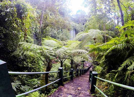 Air Terjun Benang Setokel dan Benang Kelambu