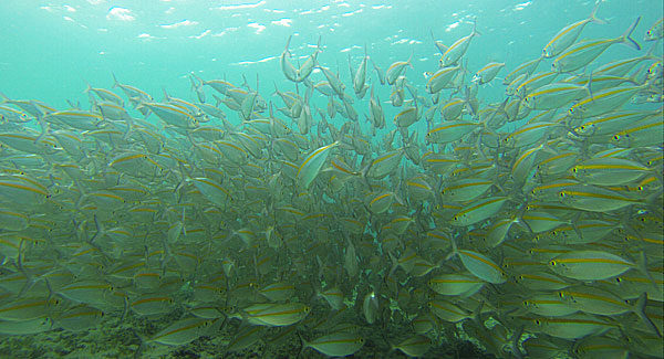 Gili Kedis, Sudaq, Nanggu